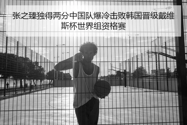 张之臻独得两分中国队爆冷击败韩国晋级戴维斯杯世界组资格赛